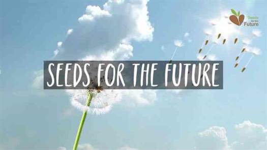 5.ª edição do Seeds for the Future Portugal arrancou esta semana para a criação dos futuros líderes das TIC 1