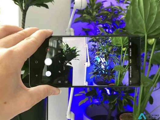 Análise Samsung Galaxy Note 9 - em equipa que ganha não se mexe (muito) 10