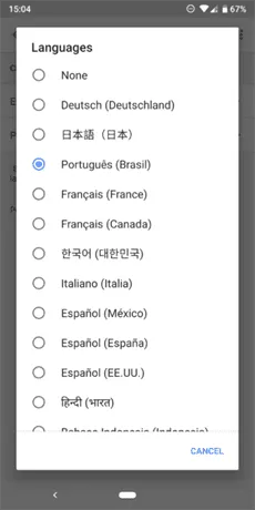 google home brazilian portuguese 1