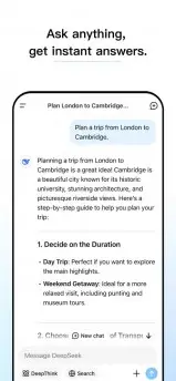 The DeepSeek app on iOS