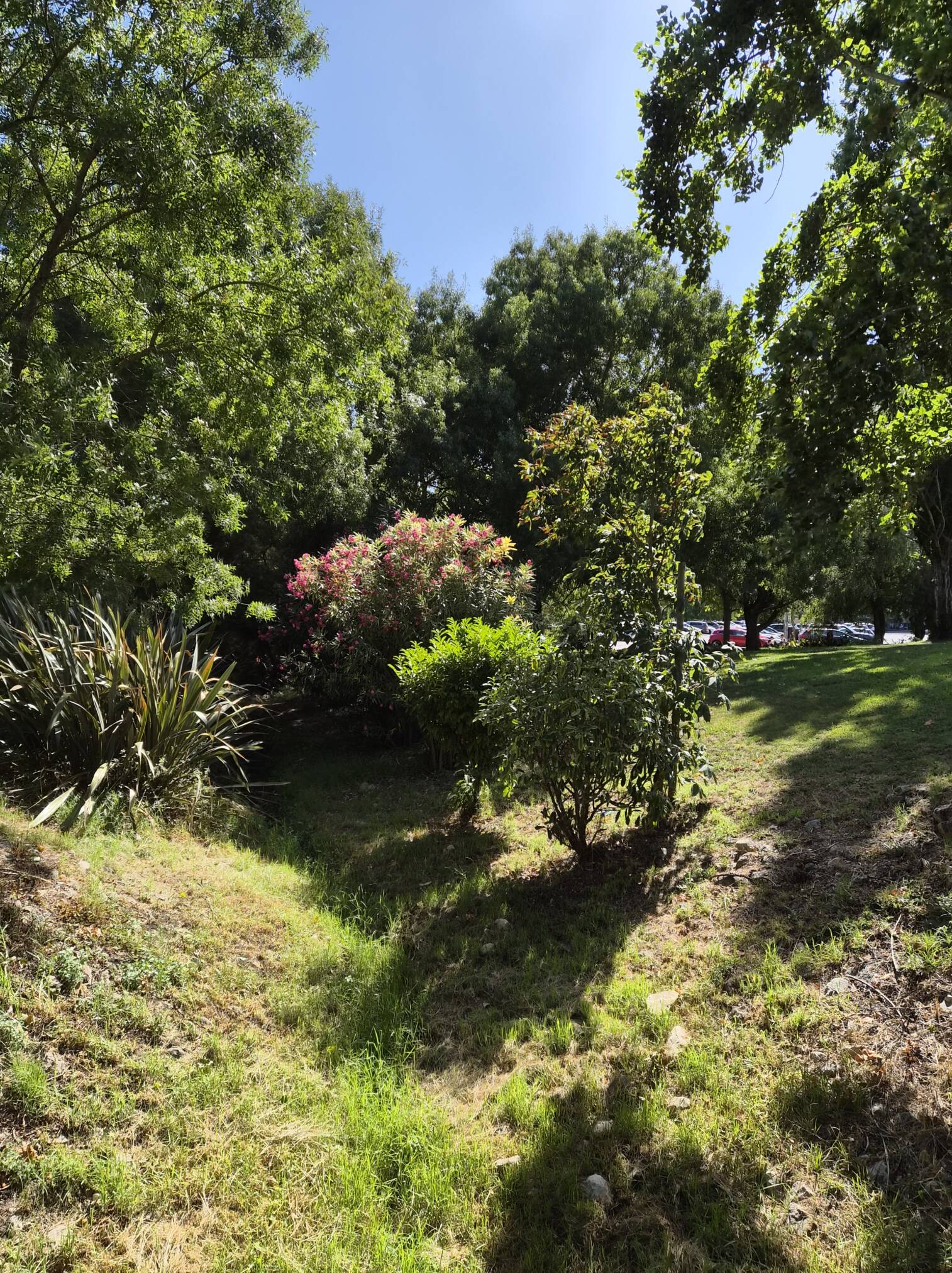 Análise Samsung Galaxy Z Flip 7: Beleza dobrável com evolução discreta, mas consistente 31 analise samsung galaxy z flip 7 beleza dobravel com evolucao discreta mas consistente androidgeek 35