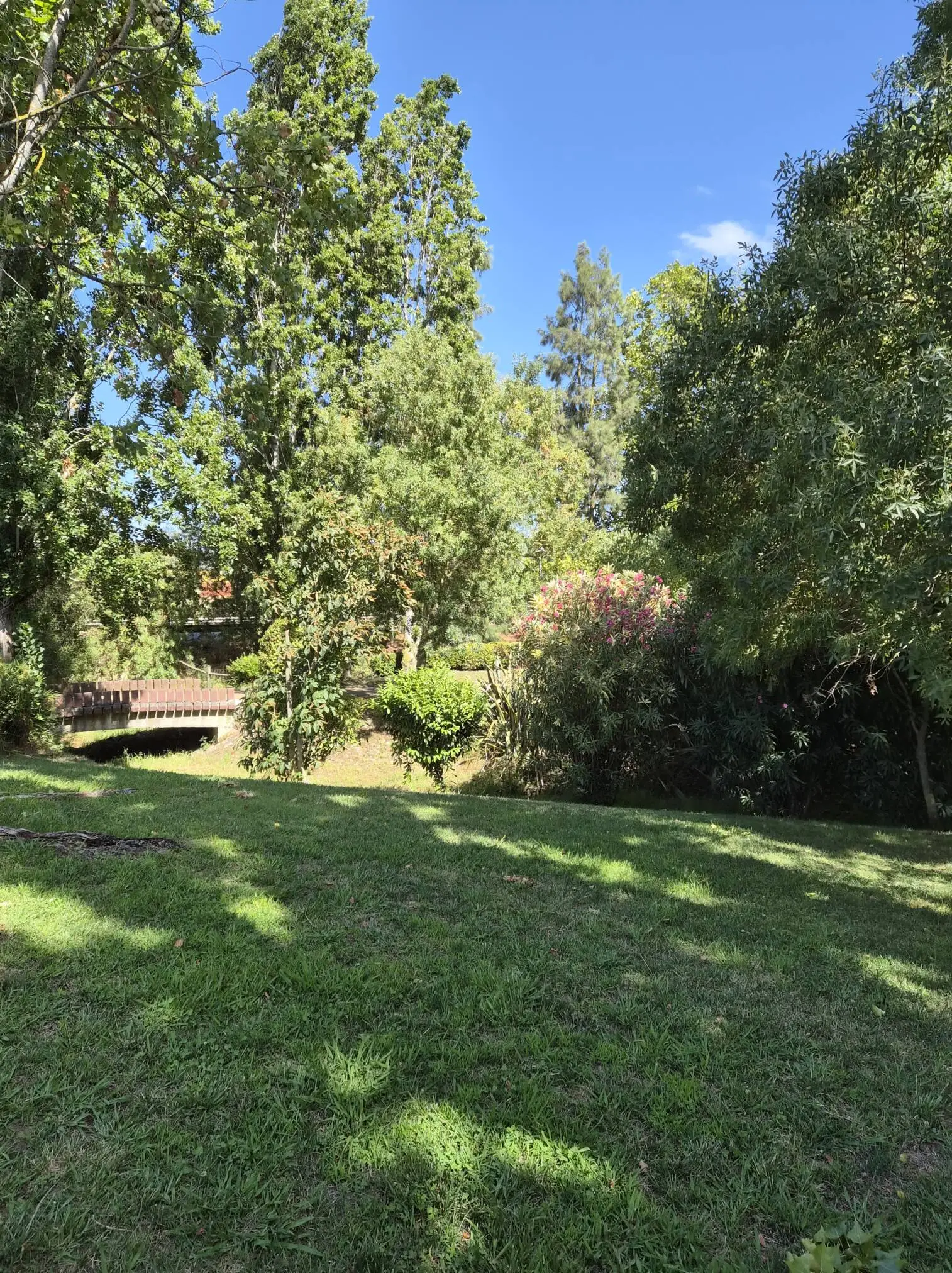 Análise Samsung Galaxy Z Flip 7: Beleza dobrável com evolução discreta, mas consistente 32 analise samsung galaxy z flip 7 beleza dobravel com evolucao discreta mas consistente androidgeek 36