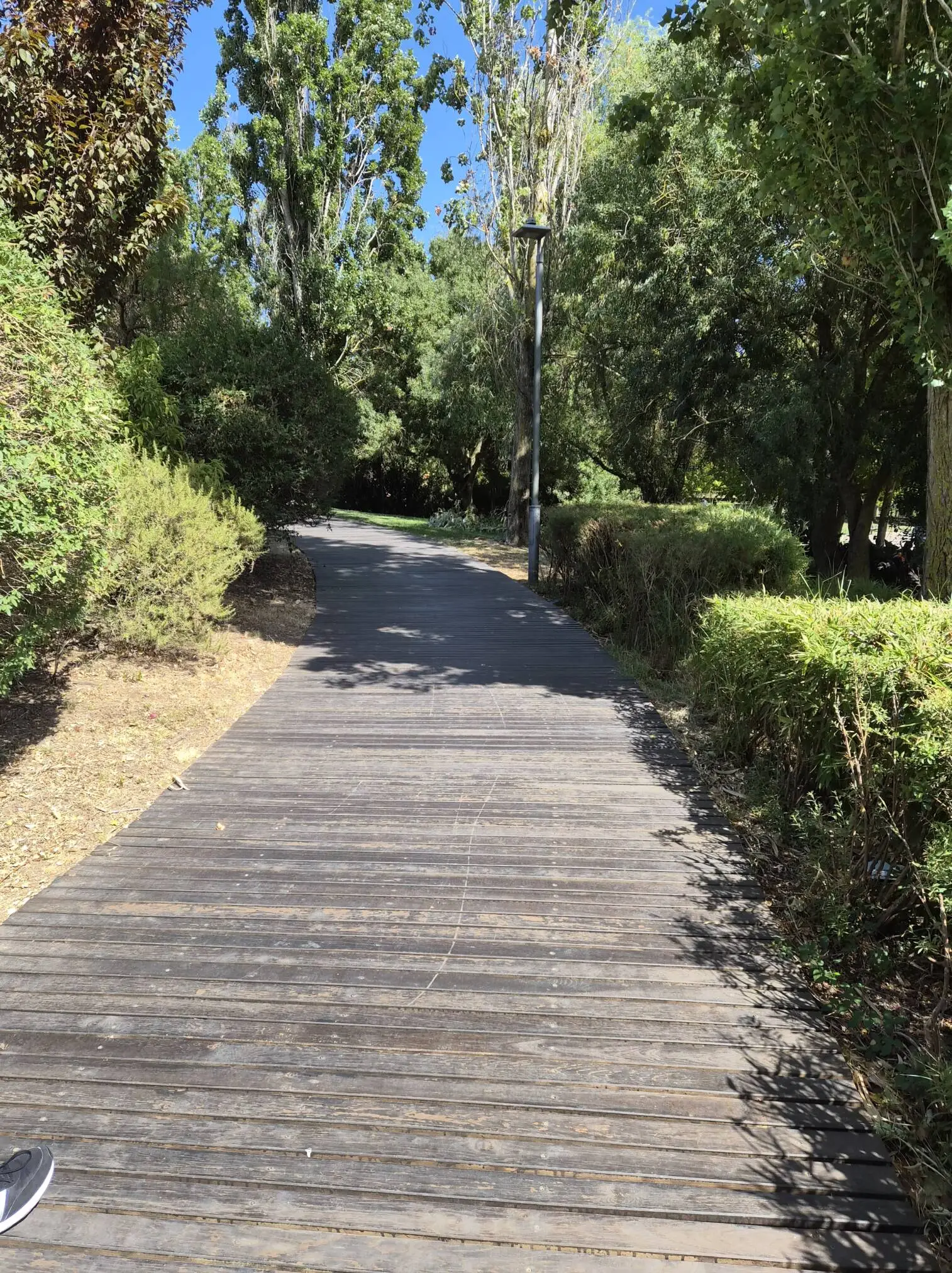 Análise Samsung Galaxy Z Flip 7: Beleza dobrável com evolução discreta, mas consistente 33 analise samsung galaxy z flip 7 beleza dobravel com evolucao discreta mas consistente androidgeek 39