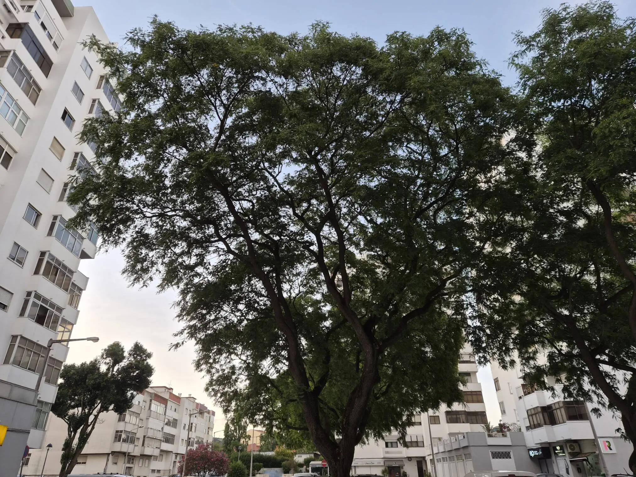 Análise Samsung Galaxy Z Flip 7: Beleza dobrável com evolução discreta, mas consistente 35 analise samsung galaxy z flip 7 beleza dobravel com evolucao discreta mas consistente androidgeek 44