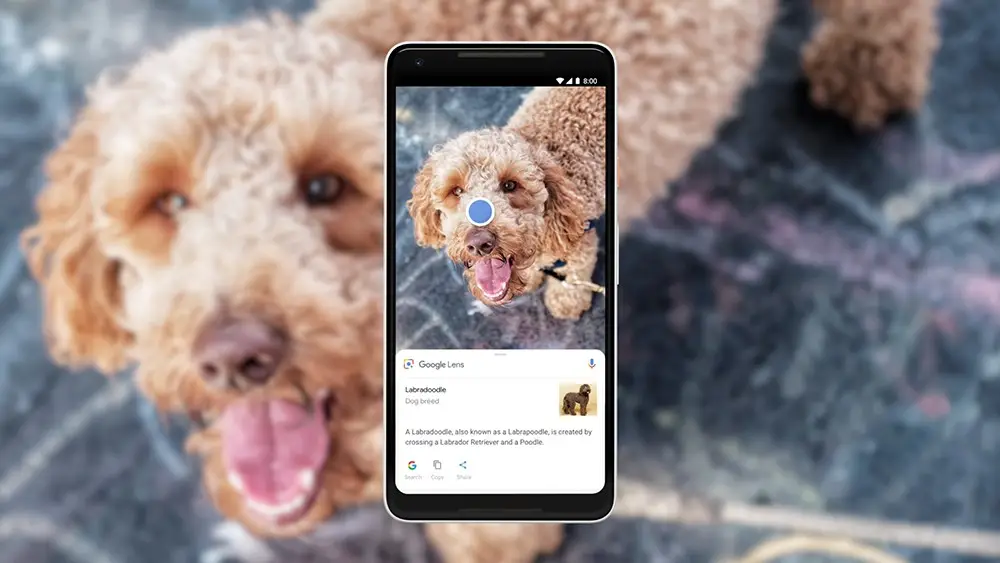 Google Lens perde poderes e ganha identidade 6